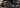 End of Year Updates